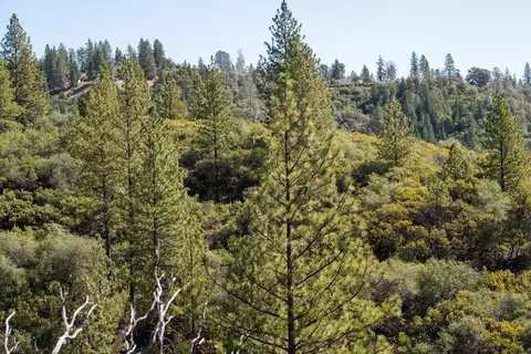 0 Mule Skinner Rd, Placerville, CA 95667 photo 15