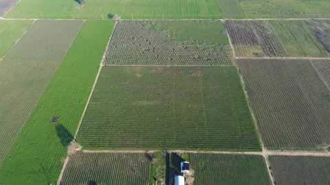 15910 Locust Tree Rd, Lodi, CA 95240