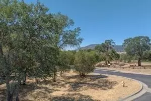 545 Rock Forge Loop Loop, Angels Camp, CA 95222 photo 4