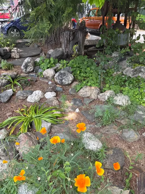 Exterior - 526 Mill St #1, Grass Valley, CA 95945 photo 8 of 20