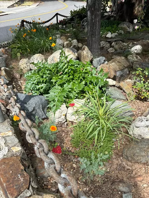 Exterior - 526 Mill St #1, Grass Valley, CA 95945 photo 9 of 20