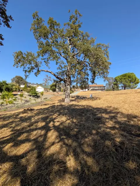 3270 Arrowhead St, Copperopolis, CA 95228 photo 7