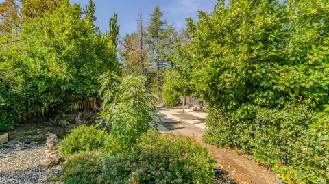 Exterior - 28 Frontier Dr, Jackson, CA 95642 photo 10 of 14