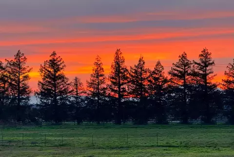 Other - 2829 W Armstrong Rd, Lodi, CA 95242 photo 1 of 8