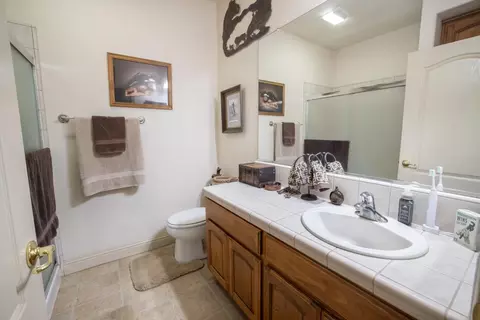Bath - 21196 E Rose Clover Ln, Linden, CA 95236 photo 4 of 6