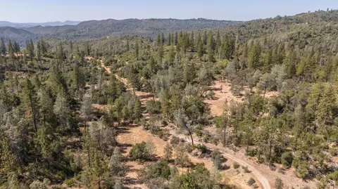 View/Area - 9040 Sheep Ranch Rd, Mountain Ranch, CA 95246 photo 14 of 22