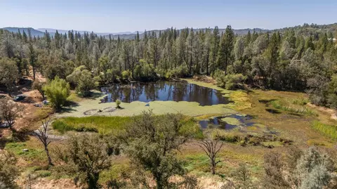 View/Area - 9040 Sheep Ranch Rd, Mountain Ranch, CA 95246 photo 22 of 22