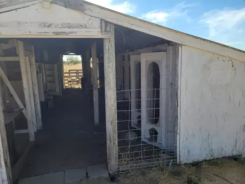 Exterior - 24471 Avenue 19, Madera, CA 93638 photo 21 of 26