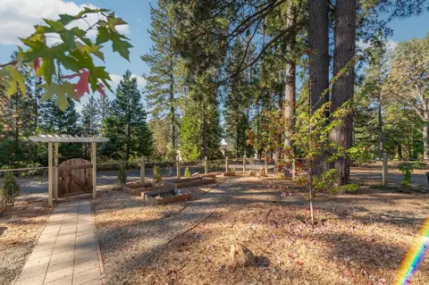 Exterior - 19581 Mella Dr, Volcano, CA 95689 photo 6 of 28