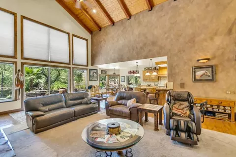 Living - 23303 E Buena Vista Rd, Clements, CA 95227 photo 2 of 4