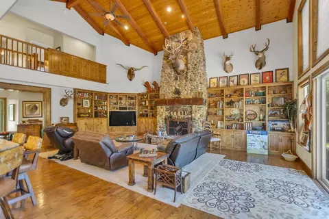 Living - 23303 E Buena Vista Rd, Clements, CA 95227 photo 3 of 4