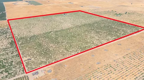 0 E Buchand Hollow Rd, Le Grand, CA 95333