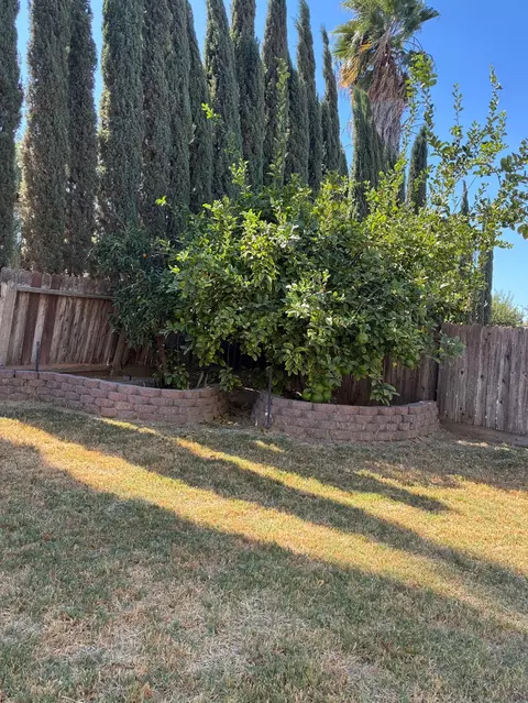 Exterior - 1460 Portsmouth, Gustine, CA 95322 photo 9 of 13