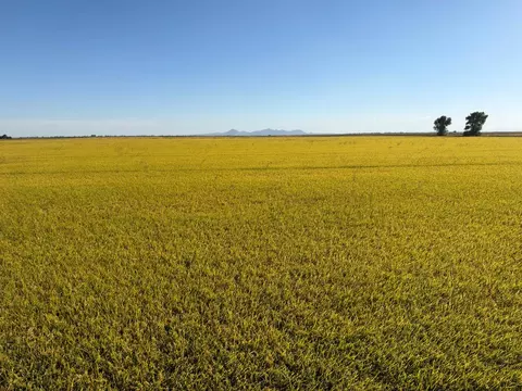 0 Lofgren Rd, Richvale, CA 95974