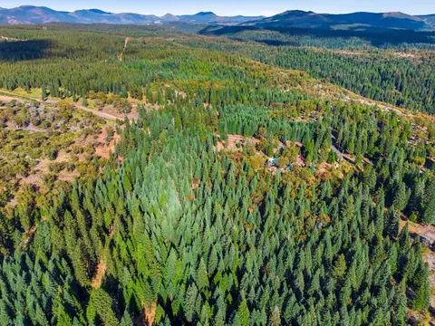 39445 Kearsarge Mill Rd, Alta, CA 95701 photo 12