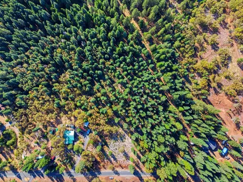 39445 Kearsarge Mill Rd, Alta, CA 95701 photo 15