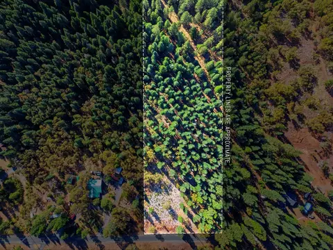 39445 Kearsarge Mill Rd, Alta, CA 95701 photo 14