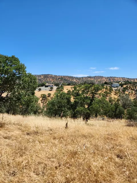 0 Penascal, La Grange, CA 95329 photo 5