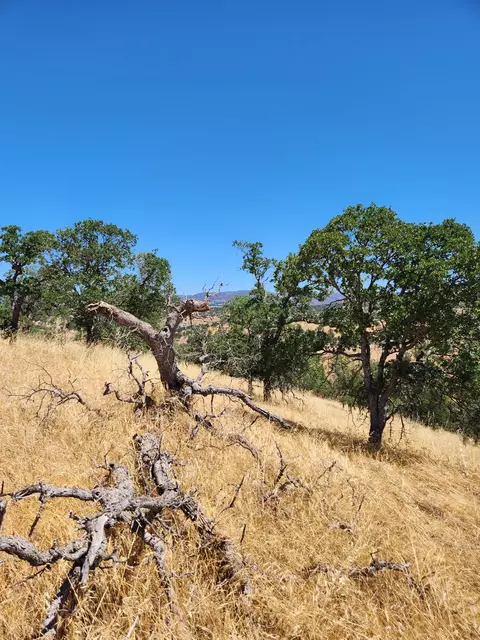 0 Penascal, La Grange, CA 95329 photo 6