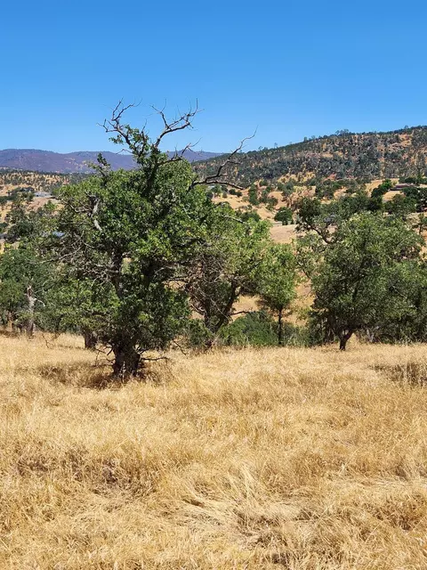 0 Penascal, La Grange, CA 95329 photo 12