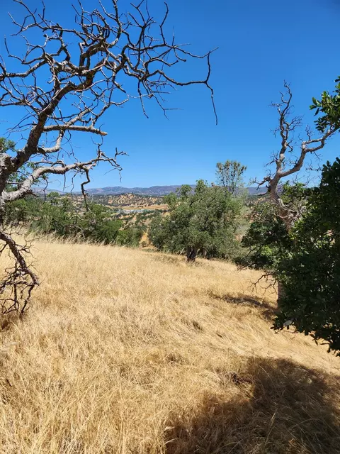 0 Penascal, La Grange, CA 95329 photo 7