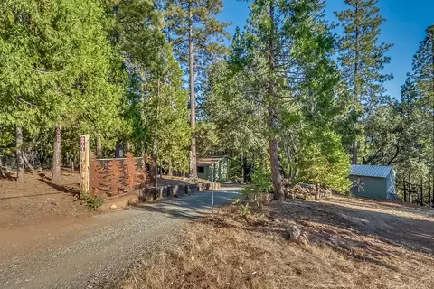 Exterior - 25101 Bear Hill Rd, Volcano, CA 95689 photo 2 of 27