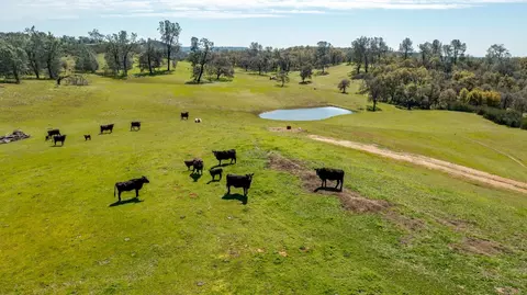 13012 Highway 124, Ione, CA 95640