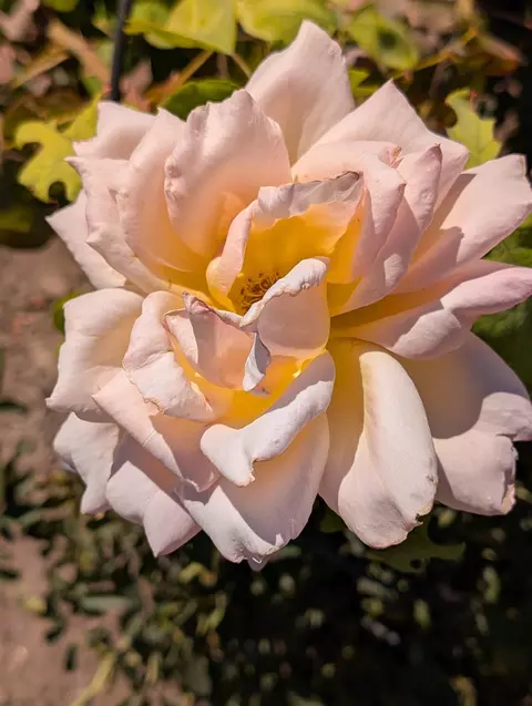 Other - 1049 Ruby Pl, Manteca, CA 95336 photo 8 of 8