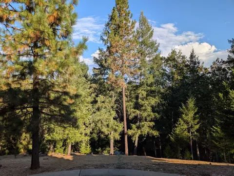 Exterior - 21895 One Fine Pl, Colfax, CA 95713 photo 3 of 14