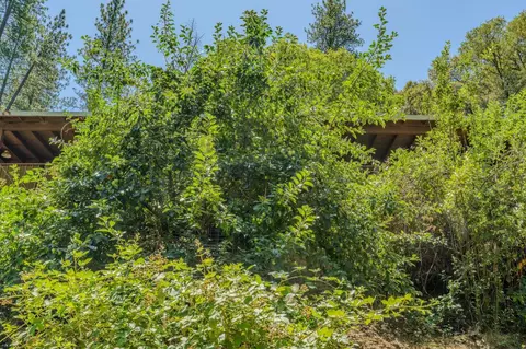 Exterior - 16000 Sutter Creek Rd, Sutter Creek, CA 95685 photo 13 of 14