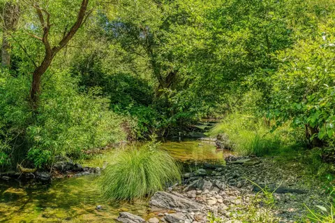 Other - 16000 Sutter Creek Rd, Sutter Creek, CA 95685 photo 20 of 33