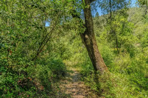 Other - 16000 Sutter Creek Rd, Sutter Creek, CA 95685 photo 25 of 33