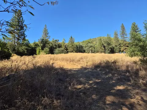 0 Globe Lily, Murphys, CA 95247 photo 5