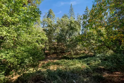 Exterior - 3113 Clark St, Placerville, CA 95667 photo 14 of 15