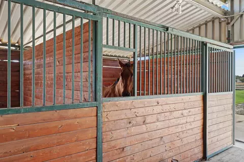 Other - 12647 E Tokay Colony Rd, Lodi, CA 95240 photo 14 of 18