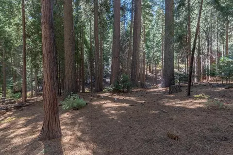 Exterior - 2721 Sioux Trl, Arnold, CA 95223 photo 14 of 17