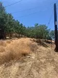 109 Gatewood Ave, San Andreas, CA 95249 photo 7
