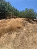 109 Gatewood Ave, San Andreas, CA 95249 photo 9