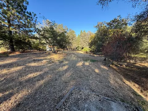 Exterior - 1884 State Highway 49, Placerville, CA 95667 photo 7 of 11