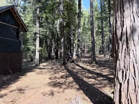 Exterior - 35655 Culberson Rd, Alta, CA 95701 photo 11 of 17