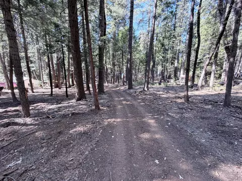 Other - 35655 Culberson Rd, Alta, CA 95701 photo 4 of 9