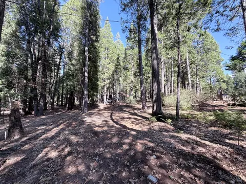 Exterior - 35655 Culberson Rd, Alta, CA 95701 photo 12 of 17