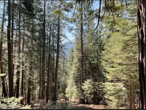 12664 Last Chance Mine Rd, Nevada City, CA 95959