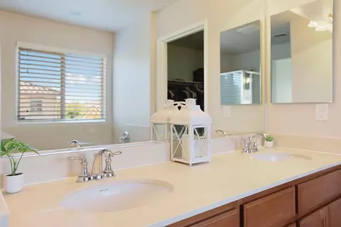 Bath - 16891 Tulip Tree Way, Lathrop, CA 95330 photo 3 of 4