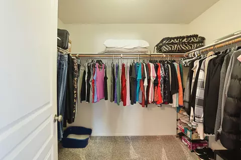 Other - 16891 Tulip Tree Way, Lathrop, CA 95330 photo 3 of 6