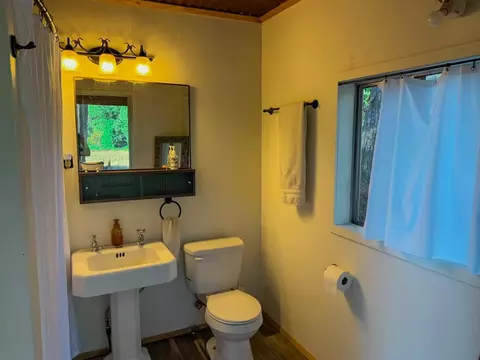 Bath - 1820 Meadow View Rd, West Point, CA 95255 photo 4 of 4