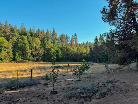 Exterior - 1820 Meadow View Rd, West Point, CA 95255 photo 22 of 24