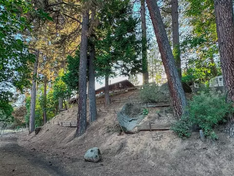 Exterior - 1820 Meadow View Rd, West Point, CA 95255 photo 7 of 24