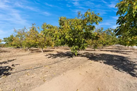 Other - 22605 N Davis Rd, Lodi, CA 95242 photo 17 of 17