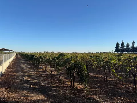 Other - 4865 E Woodbridge Rd, Acampo, CA 95220 photo 6 of 14